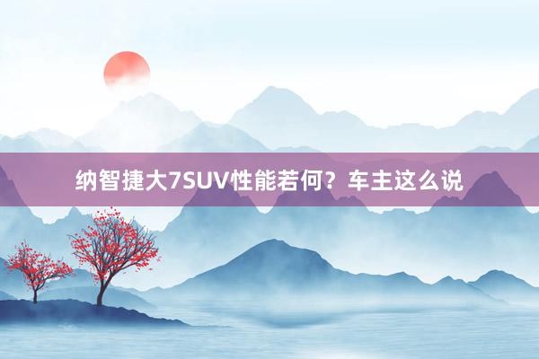 纳智捷大7SUV性能若何？车主这么说